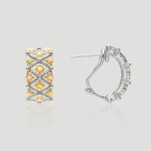 Dual-Tone Geometric Earrings​